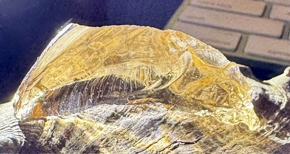 Lions Heart Authentic Andara Crystal