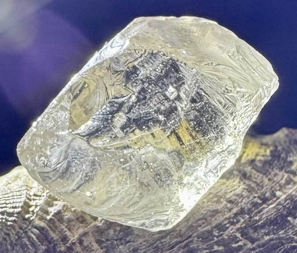 Champagne Elder Authentic Andara Crystal