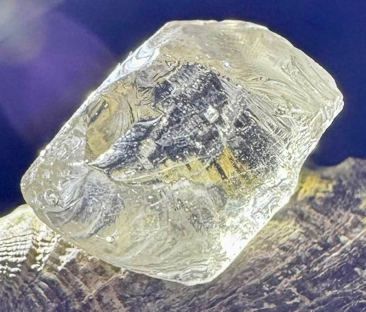 Champagne Elder Authentic Andara Crystal