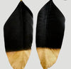 Black and Gold  Leaf Feather Earrings
