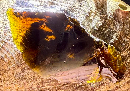 Shaman brown Authentic Andara Crystal