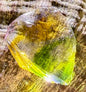 Heart of Awakening Authentic Andara Crystal