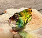 Verdaniel Authentic Andara Crystal 14g