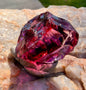Garnet Fire Authentic Andara Crystal 20g - FINAL PRICE