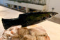 Sword of NOX'AURELION Authentic Andara Crystal