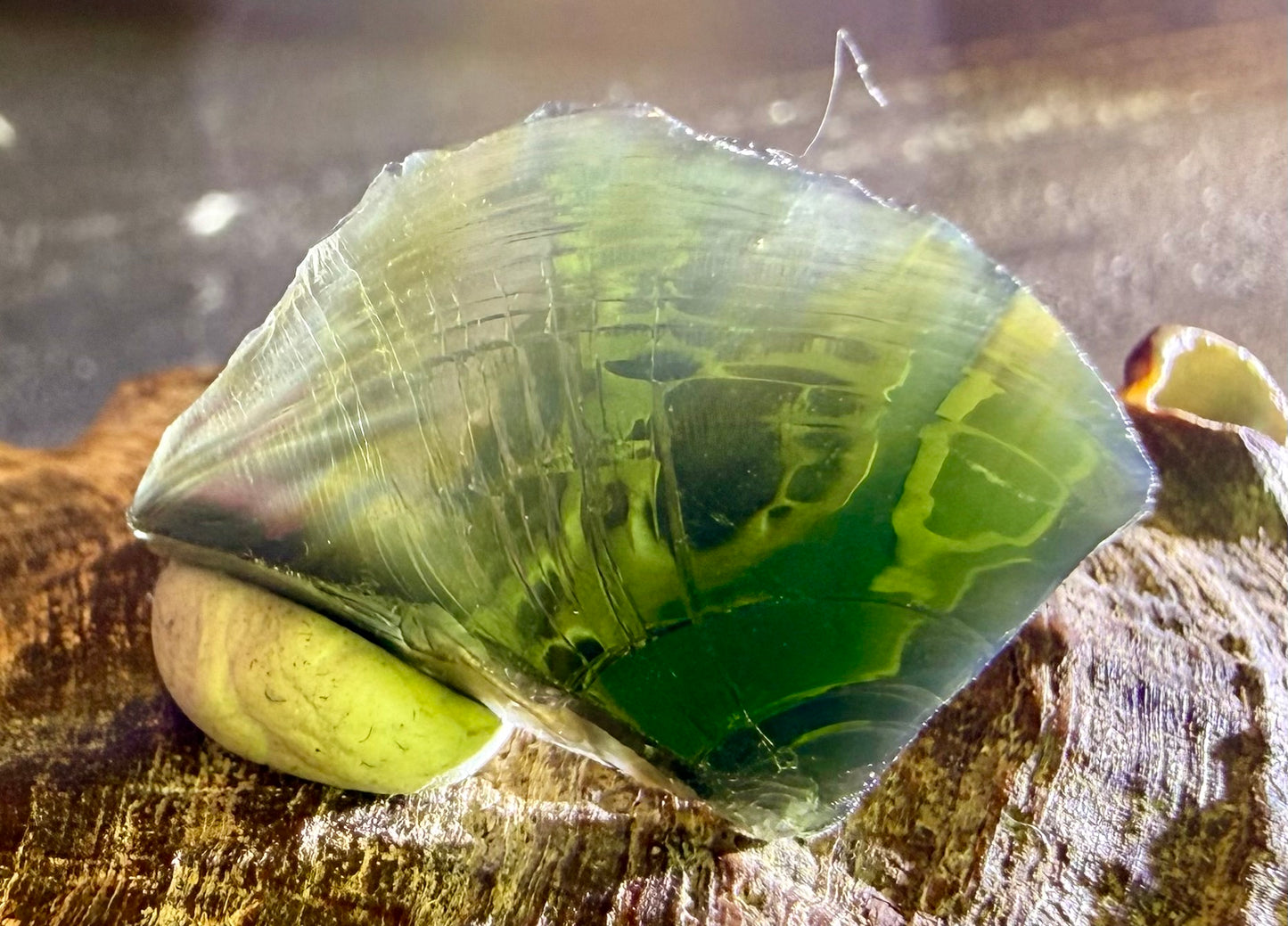 Istari Authentic Andara Crystal 2g