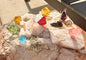 10 Piece Authentic Andara Crystal Chakra Healing Set 28g
